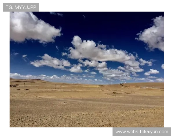 探讨开云体盲对现代科技与艺术表现形式的影响