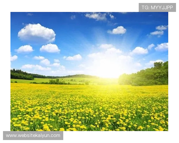 如何选择具有开运寓意的网名帮助你在网络世界中吸引好运与正能量